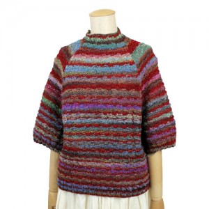 40541205-13サルヴィ1