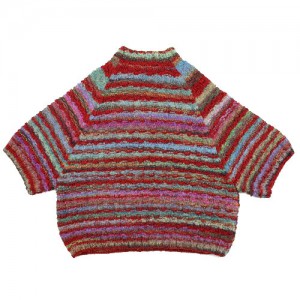 40541205-13サルヴィ2